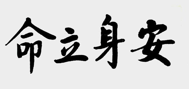 安身立命打一最佳生肖,警惕虚假宣传,详细解答解释落实